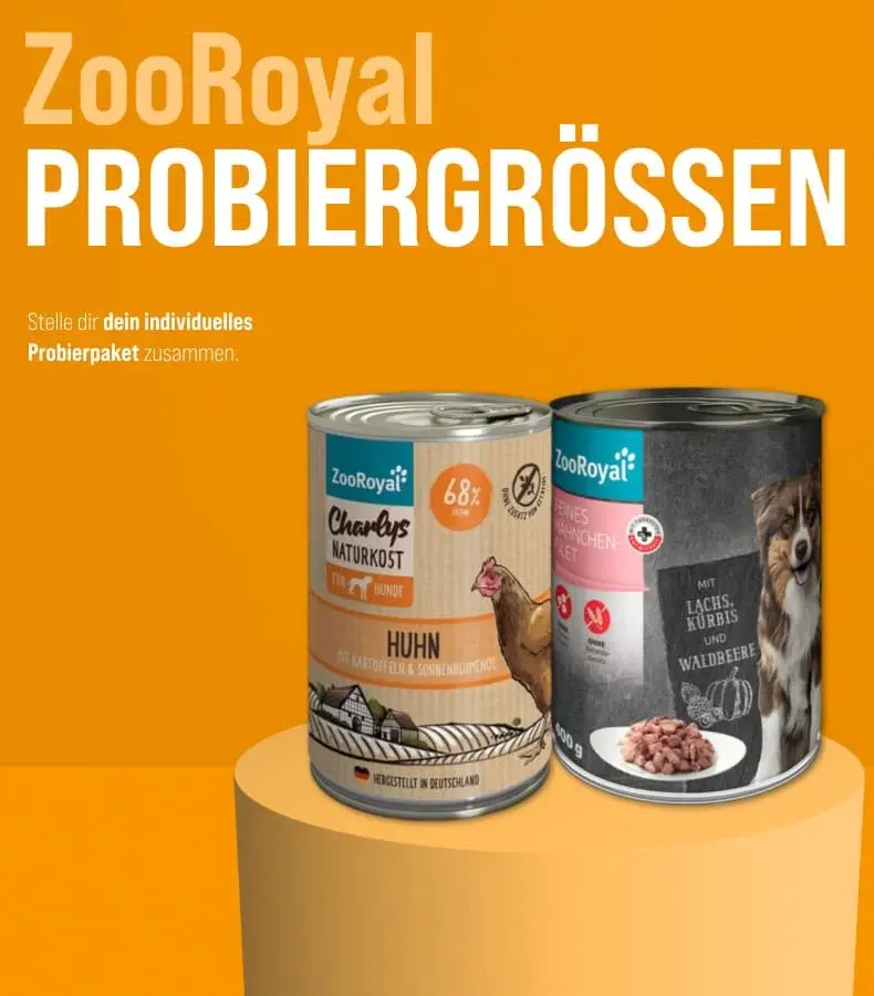ZooRoyal Probiergrößen Banner mit Hundefutterdosen Zwei ZooRoyal Probiergrößen‑Hundefutterdosen stehen auf einem Podest vor orangefarbenem Hintergrund.