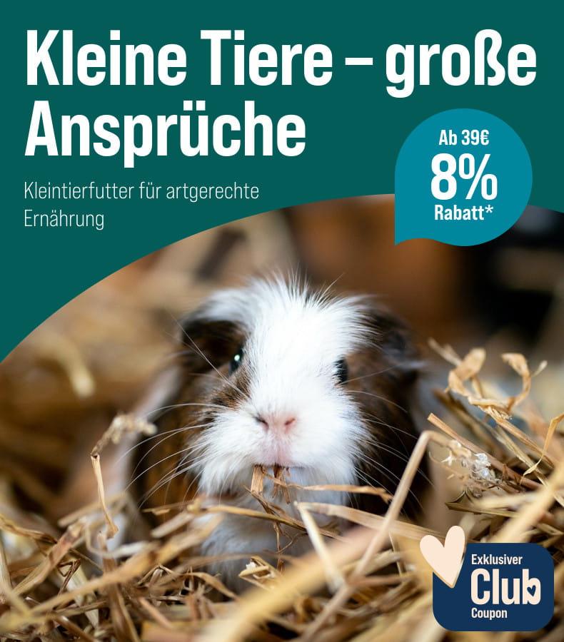 Spare 8 % ab 39 € auf Kleintierfutter Aktionsbanner Kleintierfutter mit Meerschweinchen im Stroh