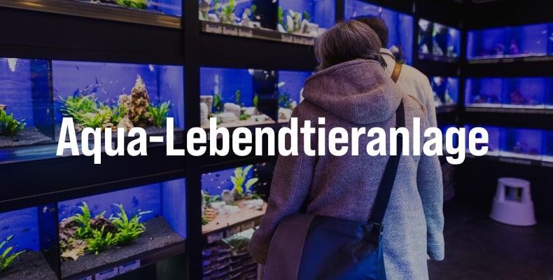 Aqua‑Lebendtieranlage Banner mit Blick auf eine Anlage für Lebendtiere im Aquaristikbereich.
