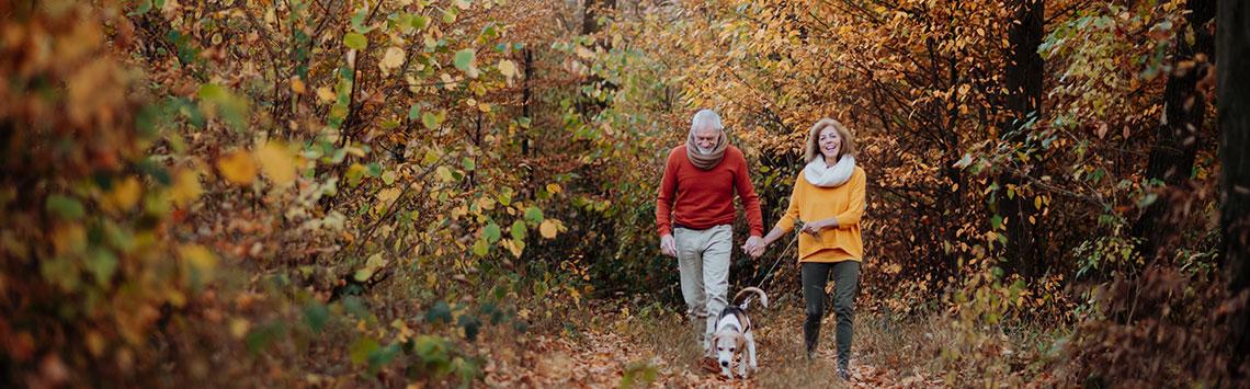 Herbstspaziergang mit Hund im herbstlichen Wald Hund an der Leine auf einem Waldweg im Herbst.