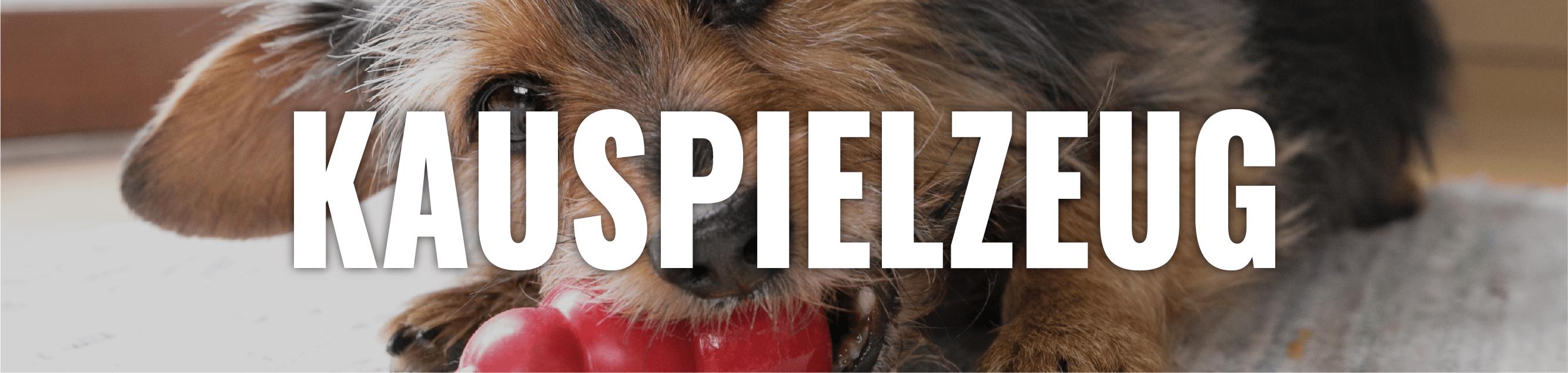 Kong Kauspielzeug Kong Kauspielzeug