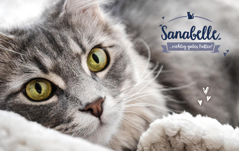 Sanabelle Topbanner Banner mit Katze und dem Sanabelle‑Logo.