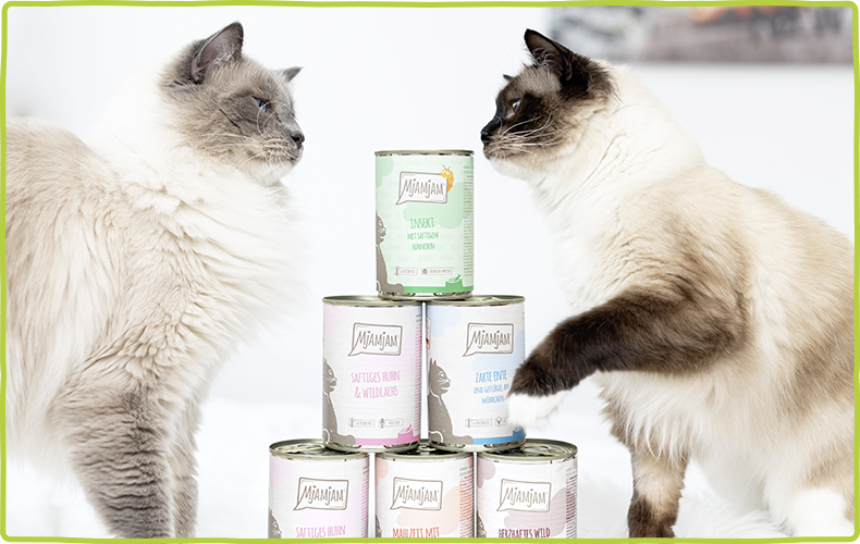 MjAMjAM Leckere Mahlzeiten Zwei Katzen neben mehreren Dosen MjAMjAM‑Katzenfuttermahlzeiten.