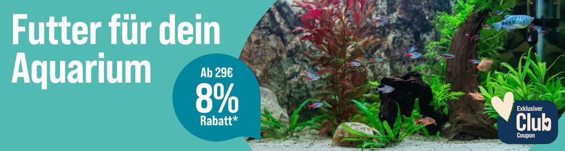 Spare 8 % ab 29 € auf Aquarium-Futter Aktionsbanner für Aquarium-Futter. Rechts schwimmen bunte Zierfische in einem bepflanzten Aquarium mit Steinen und Wurzeln. 8 % Rabatt ab 29 € für ZooRoyal Club Mitglieder.