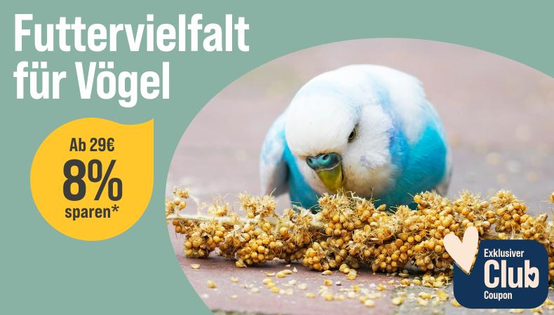 9078 Vogel