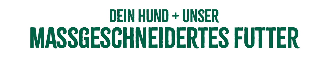 James Wellbeloved Slogan Schriftzug „Dein Hund + unser maßgeschneidertes Futter“.