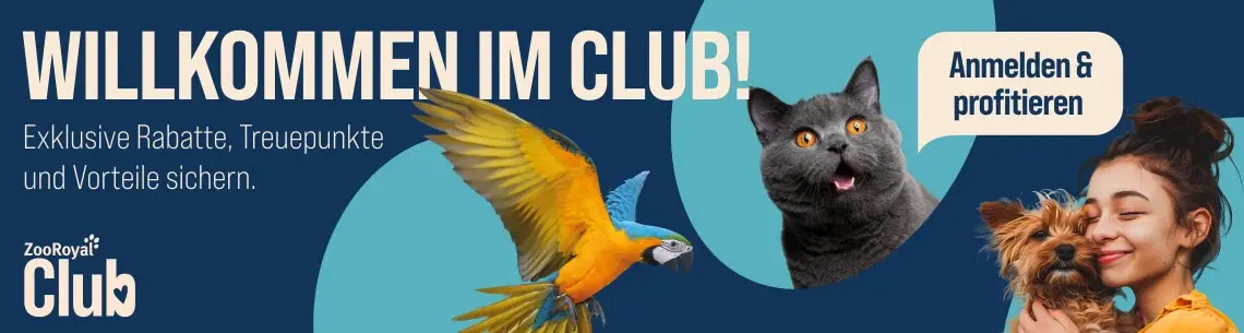 ZooRoyal Club Werbebanner mit blauem Hintergrund, Papagei, Katze und einer Frau mit Hund; Text wirbt für den ZooRoyal Club mit exklusiven Vorteilen.