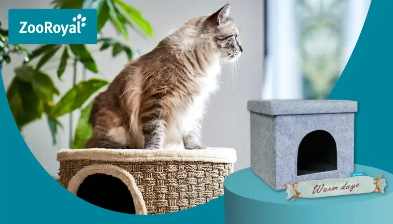 ZooRoyal Eigenmarken Zubehör Katze sitzt auf einem Kratzmöbel neben einer kleinen Höhle für Haustiere.