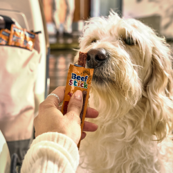 Vitakraft Hund Hund frisst einen Beef Stick, der ihm vorgehalten wird.