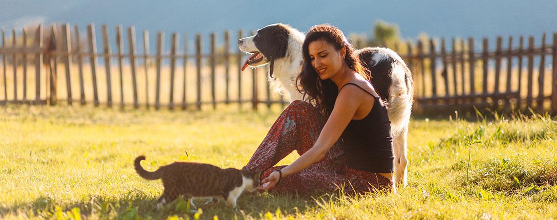 Tiergesundheit im Sommer Ein großer Hund steht im Garten neben einer im Gras sitzenden Person und einer Katze.
