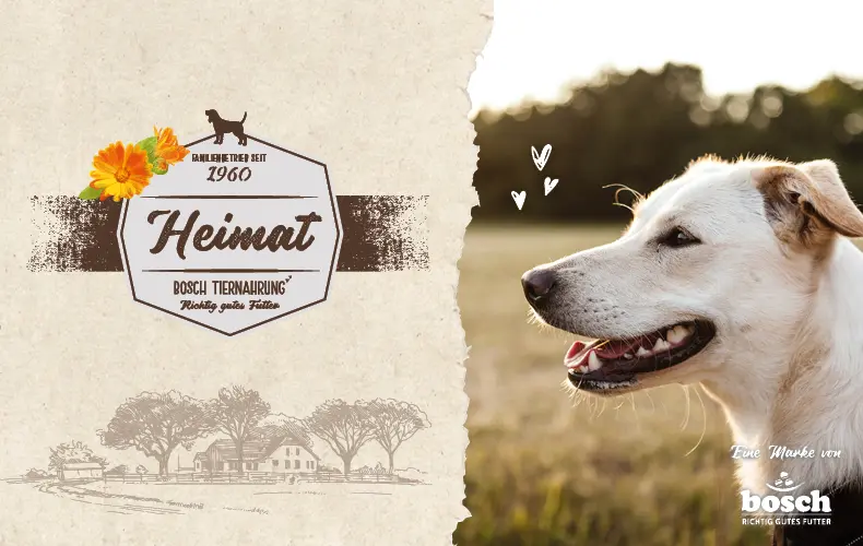 Top-Banner bosch Heimat Hund liegt im Gras und wird von einer Person gestreichelt.