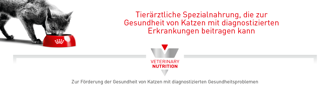 Spezialnahrung Katze Katze frisst aus einem roten Napf neben Hinweis auf tierärztliche Spezialnahrung.