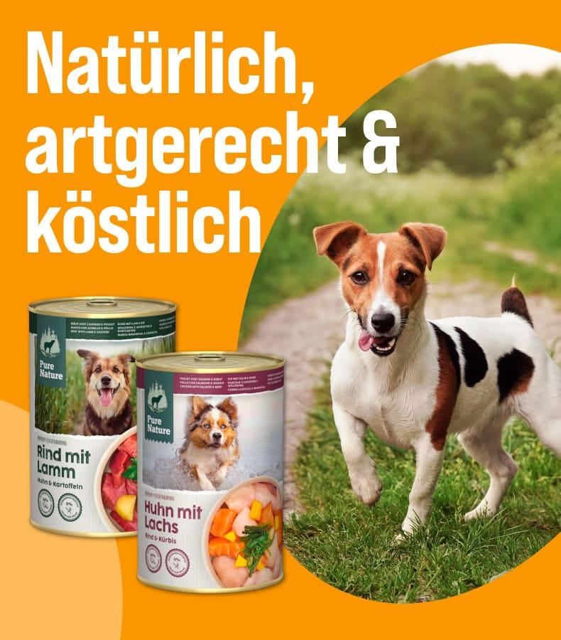 Entdecke Pure Nature Alleinfuttermenüs Aktionsbanner mit ZooRoyal Pure Nature Hundefutterdosen und einem Hund auf einem Waldweg.