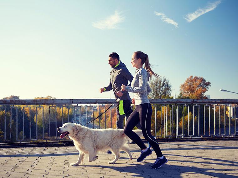 Jogger mit Hund Zwei Jogger laufen mit einem Hund an der Leine über eine Brück.