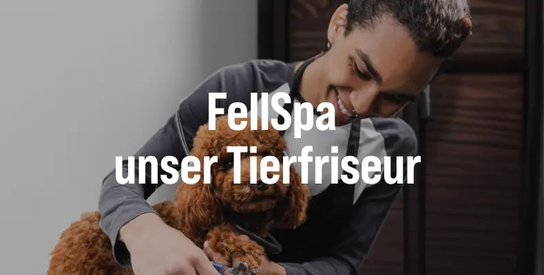 Tierfriseur‑Service FellSpa Person pflegt einen Hund im Tierfriseurbereich.