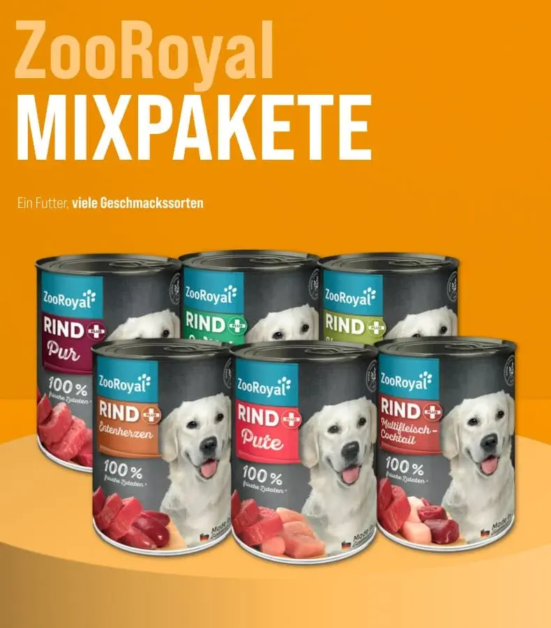 ZooRoyal Mixpakete Hundefutter Banner Mehrere ZooRoyal Mixpakete Hundefutterdosen stehen auf einem Podest vor orangefarbenem Hintergrund.