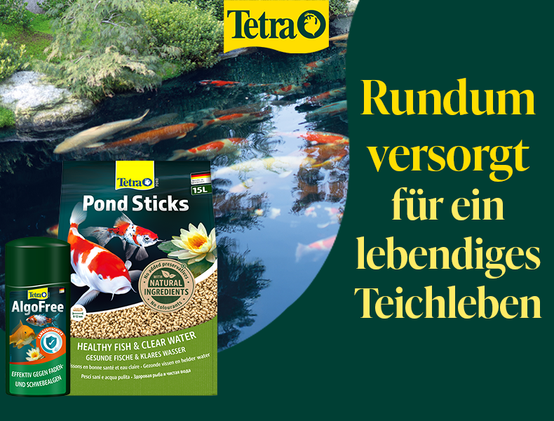 Banner für Tetra Teich Produkte Banner für Tetra mit der Bewerbung: Rundum versorgt für ein lebendiges Teichleben