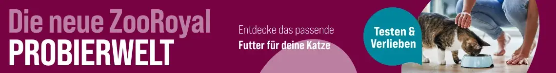 ZooRoyal Probierwelt für Katzen Person hockt neben einer Katze, die aus einem Napf frisst. Im Hintergrund helle Wohnumgebung mit Pflanzen und Werbetext zur ZooRoyal Probierwelt.