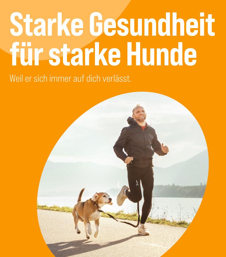 Hundegesundheit Hund läuft an der Leine neben einer joggenden Person auf einem Weg am Wasser, Banner zum Thema Hundegesundheit.