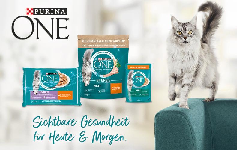 Purina One Topbanner Purina‑ONE‑Produkte neben einer Katze und dem Schriftzug „Sichtbare Gesundheit für Heute & Morgen“.