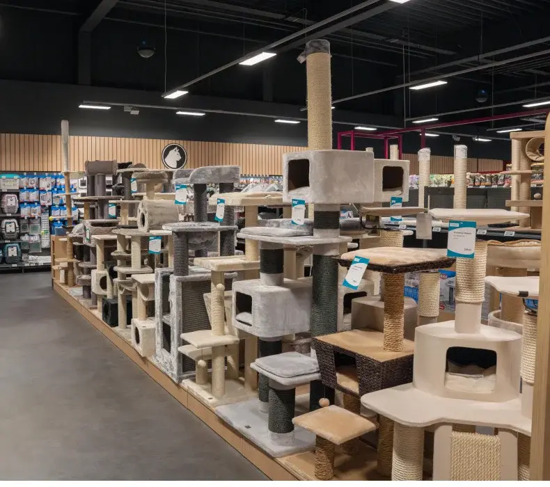 Kratzbaum Ausstellung Ausstellung mit verschiedenen Kratzbäumen und Kletterelementen für Katzen.