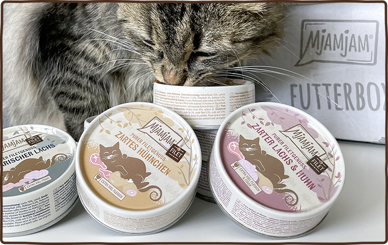 MjAMjAM Purer Filetgenuss Katze Getigerte Katze schnuppert an drei Dosen MjAMjAM Purer Filetgenuss.