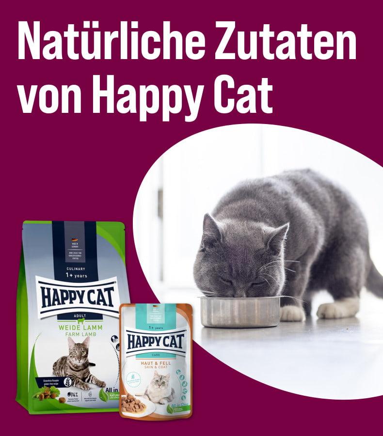 Entdecke Katzenfutter von Happy Cat Aktionsbanner für Katzenfutter von Happy Cat. Katze frisst aus einem Napf in einer Wohnung, daneben Verpackungen von Trocken‑ und Nassfutter, Hinweis auf „Natürliche Zutaten von Happy Cat“.