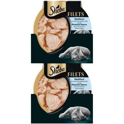Filets Schale Weißfisch in Sauce ASC Filets Schale Weißfisch in Sauce ASC