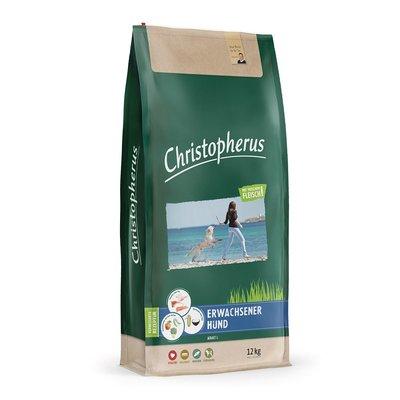 Christopherus - erwachsener Hund Christopherus - erwachsener Hund