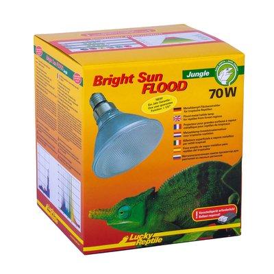 Lucky Reptile Bright Sun FLOOD Jungle Lucky Reptile Bright Sun FLOOD Jungle