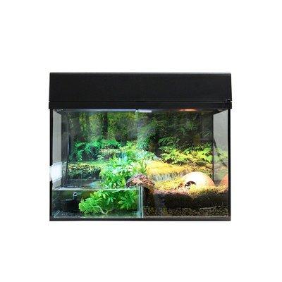 Lucky Reptile Terrarium Starter Kit 80 cm "Bombina/Pacman" Lucky Reptile Terrarium Starter Kit 80 cm "Bombina/Pacman"