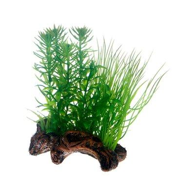 Hobby Aquariumdekoration Flora Root 2 Hobby Aquariumdekoration Flora Root 2