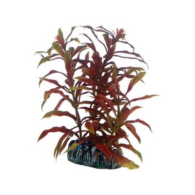 Hobby Aquariumdekoration Nesaea Hobby Aquariumdekoration Nesaea