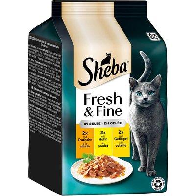 Sheba Fresh & Fine Gelee Truthahn, Huhn & Geflügel Sheba Fresh & Fine Gelee Truthahn, Huhn & Geflügel