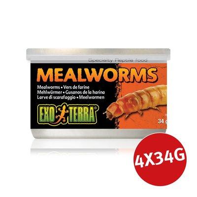 Exo Terra Reptilienfutter Mehlwürmer 4x34g Exo Terra Reptilienfutter Mehlwürmer 4x34g