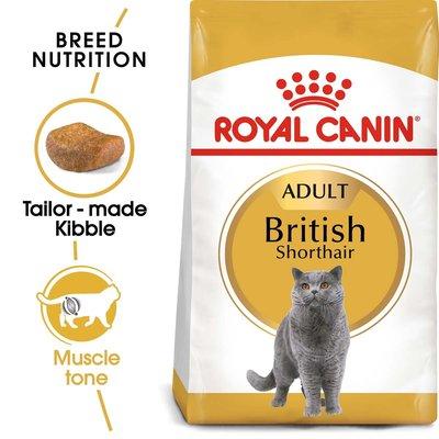 ROYAL CANIN British Shorthair Katzenfutter trocken für Britisch Kurzhaar ROYAL CANIN British Shorthair Katzenfutter trocken für Britisch Kurzhaar