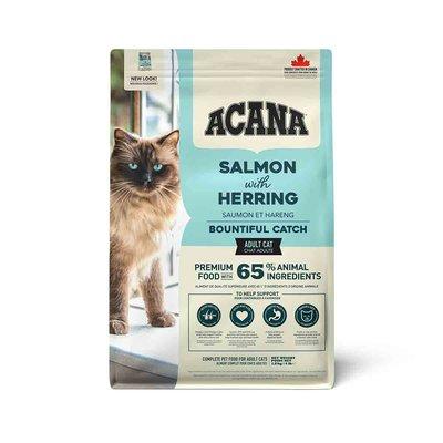 ACANA Katze Bountiful Catch Lachs, Hering ACANA Katze Bountiful Catch Lachs, Hering
