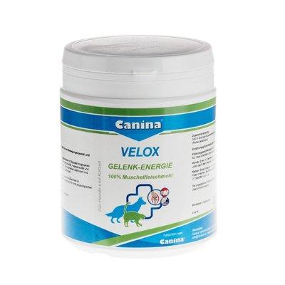 Canina Pharma Velox Gelenkenergie Canina Pharma Velox Gelenkenergie