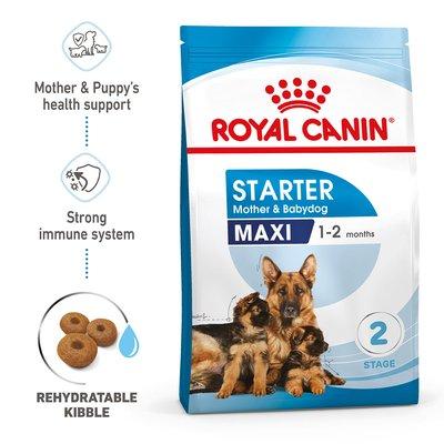 ROYAL CANIN MAXI Starter für tragende Hündin und Welpen großer Rassen ROYAL CANIN MAXI Starter für tragende Hündin und Welpen großer Rassen