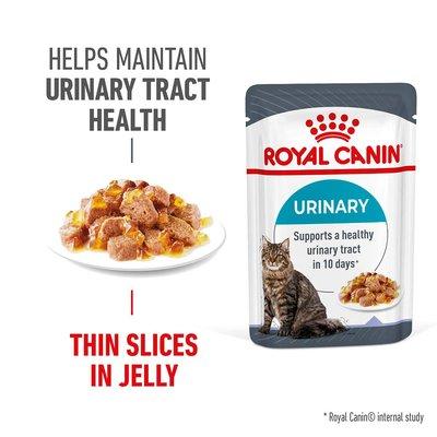 Royal Canin FCN Urinary Care Jelly Royal Canin FCN Urinary Care Jelly