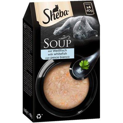 SHEBA Soup mit Weißfisch SHEBA Soup mit Weißfisch