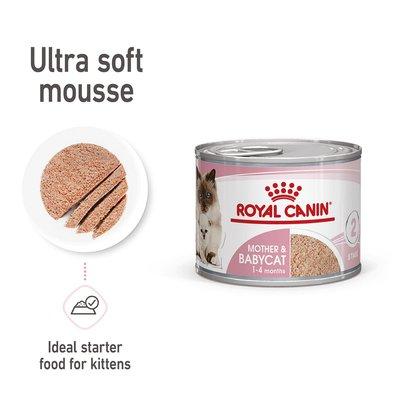 ROYAL CANIN MOTHER & BABYCAT Mousse für tragende Katzen und Kitten ROYAL CANIN MOTHER & BABYCAT Mousse für tragende Katzen und Kitten
