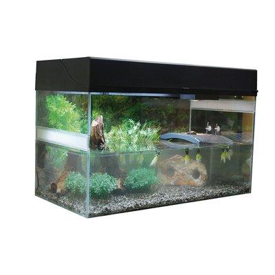 Lucky Reptile Terrarium Starter Kit 80 cm "Wasserschildkröte" Lucky Reptile Terrarium Starter Kit 80 cm "Wasserschildkröte"