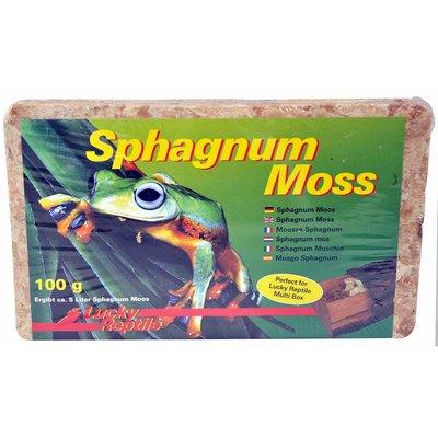 Lucky Reptile Sphagnum Moos 100g Lucky Reptile Sphagnum Moos 100g