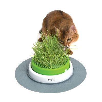 Catit Senses Grass Planter Catit Senses Grass Planter