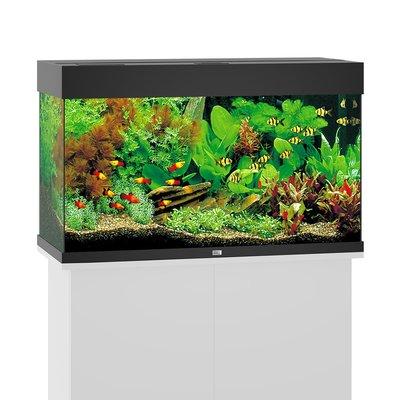 Juwel Rio 125 LED Komplett Aquarium ohne Schrank Juwel Rio 125 LED Komplett Aquarium ohne Schrank