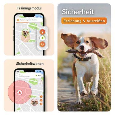 Weenect GPS XT Tracker für Hunde ohne Halsband Weenect GPS XT Tracker für Hunde ohne Halsband