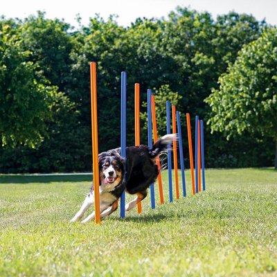 Trixie Dog Activity Agility Slalom Stangen Trixie Dog Activity Agility Slalom Stangen