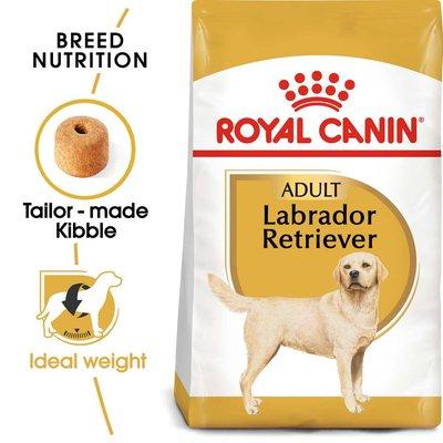 ROYAL CANIN Labrador Retriever Adult Hundefutter trocken ROYAL CANIN Labrador Retriever Adult Hundefutter trocken