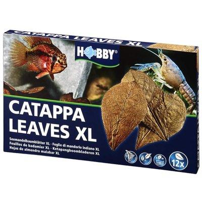 Hobby Catappa Leaves XL 12 Stück Hobby Catappa Leaves XL 12 Stück